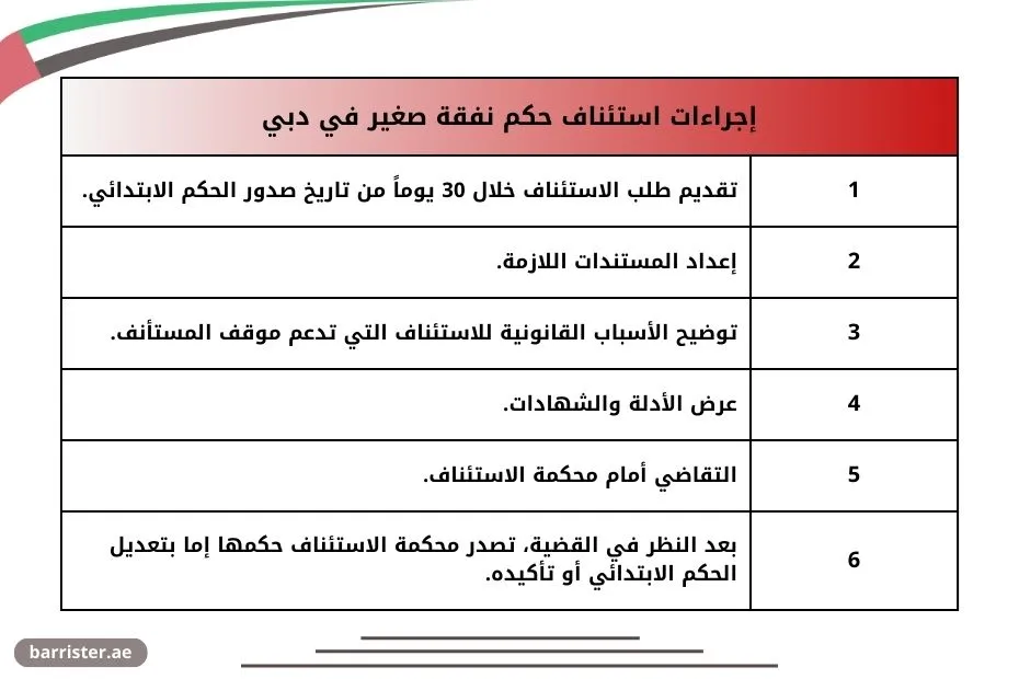 إجراءات استئناف حكم نفقة صغير في دبي