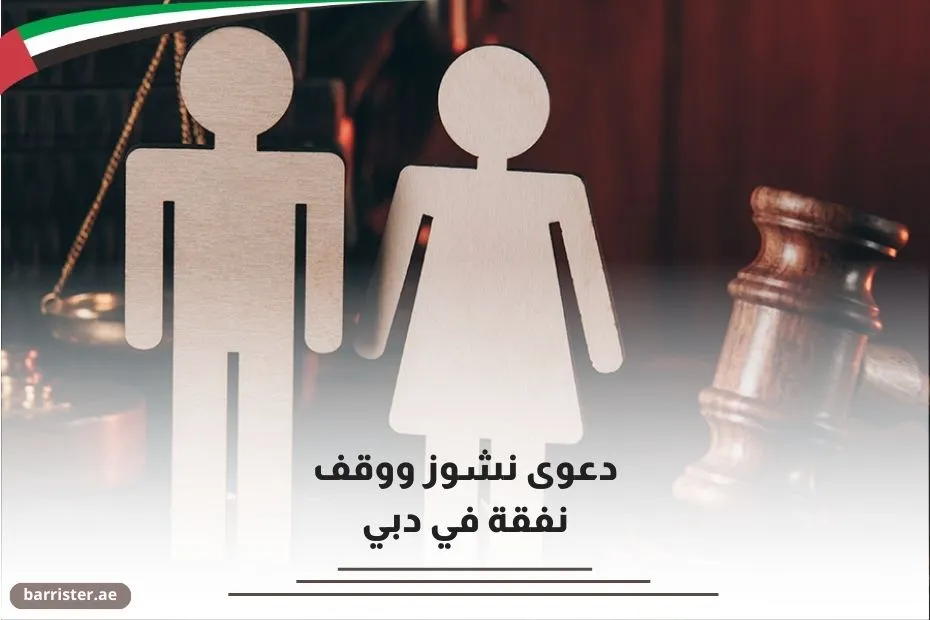 دعوى نشوز ووقف نفقة في دبي